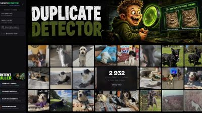 Duplicate Detector