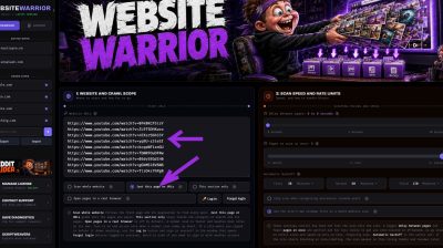 Website Warrior