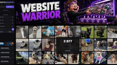 Website Warrior