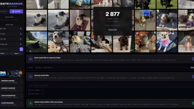 Website Warrior