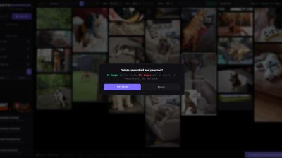 Website Warrior
